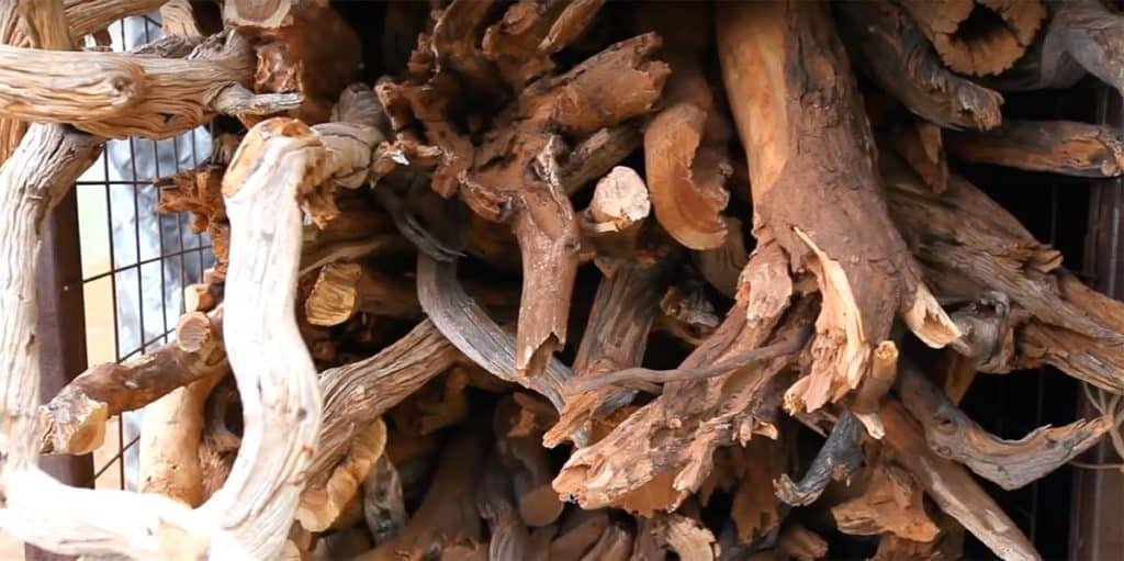 sandalwood root
